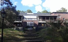 T2 Duplex Carcans Maubuisson Vue Pins Situe Au 129 Avenue Maubuisson